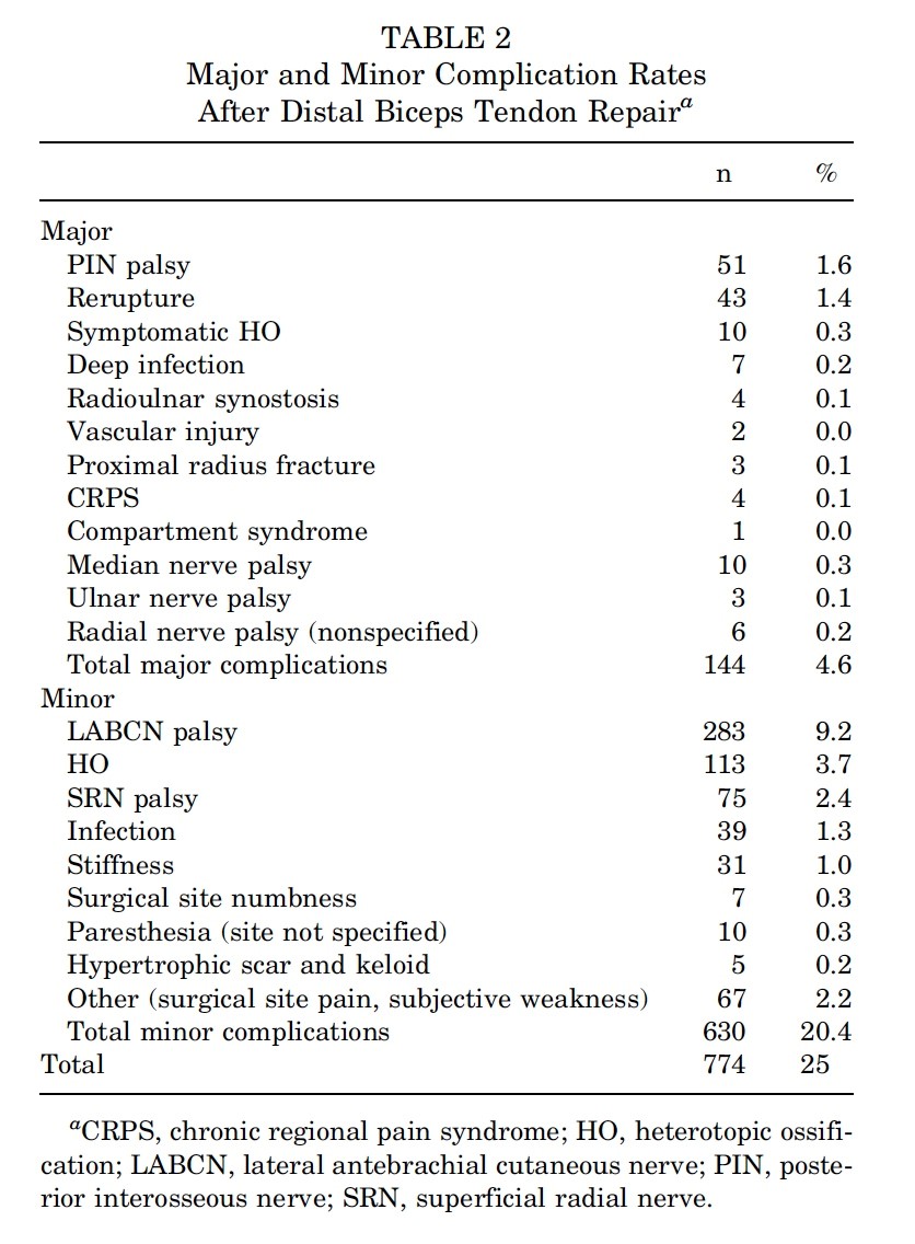biceps muscle and tendon